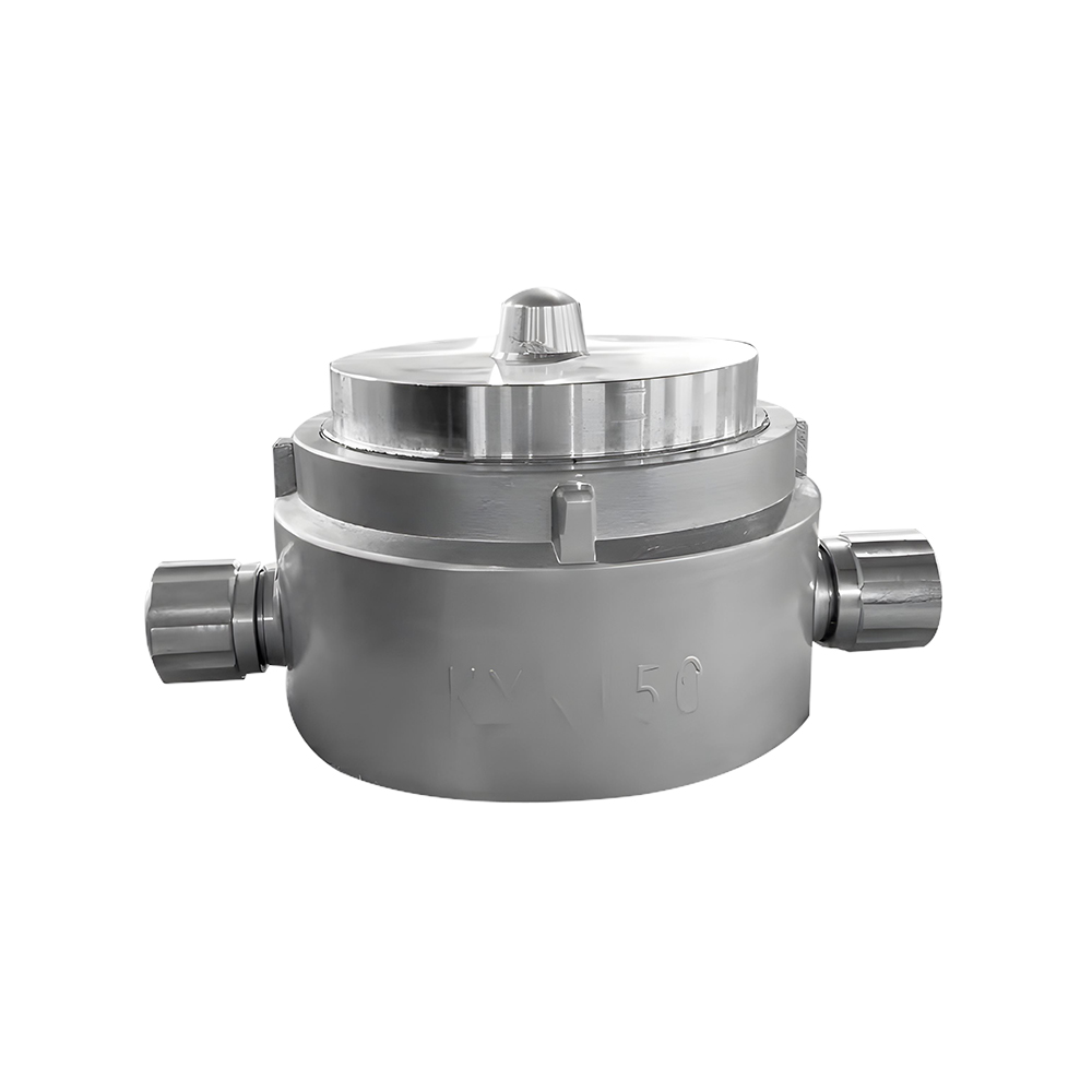 여성 존 모리스 블랭크 캡